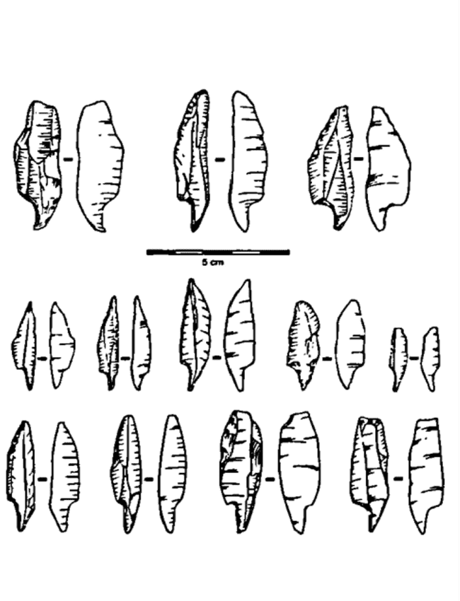 Image 100002010000028A000003522EB3B8CC0A756B97.png