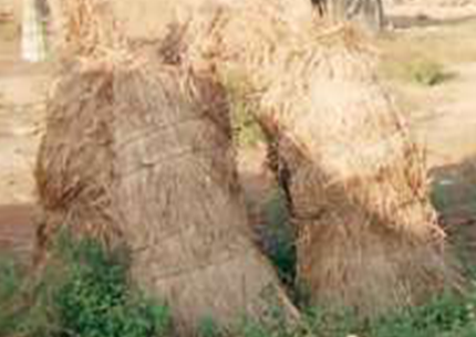 Image 10000201000001AE00000131AE2F876373F5A5B7.png