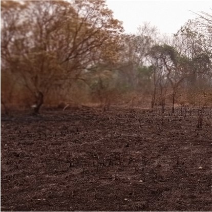 Image 100000000000019E0000019EFF96359F8E49459B.jpg