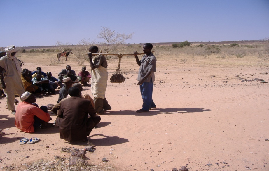 Image 100000000000039A000002498B72C026E2E5126B.jpg