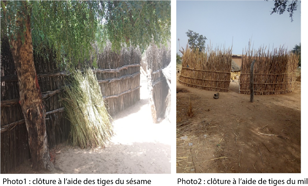 Image 100000000000042900000283A9A69737E078EECC.jpg