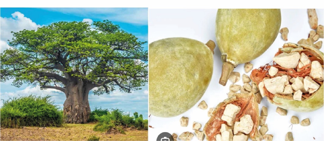 Image 1000000000000424000001D06DBCA49037EA2140.jpg