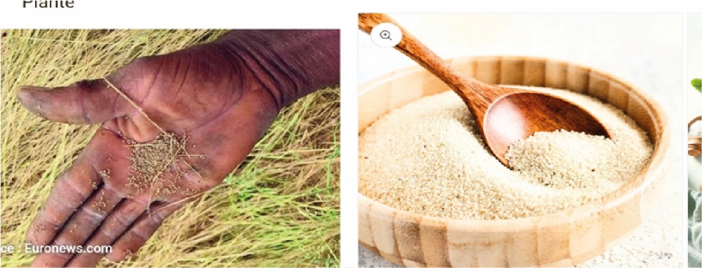 Image 10000000000003EB0000017FE8B0FB86C303DB41.jpg